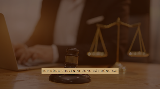 Hợp Đồng Chuyển Nhượng Bất Động Sản